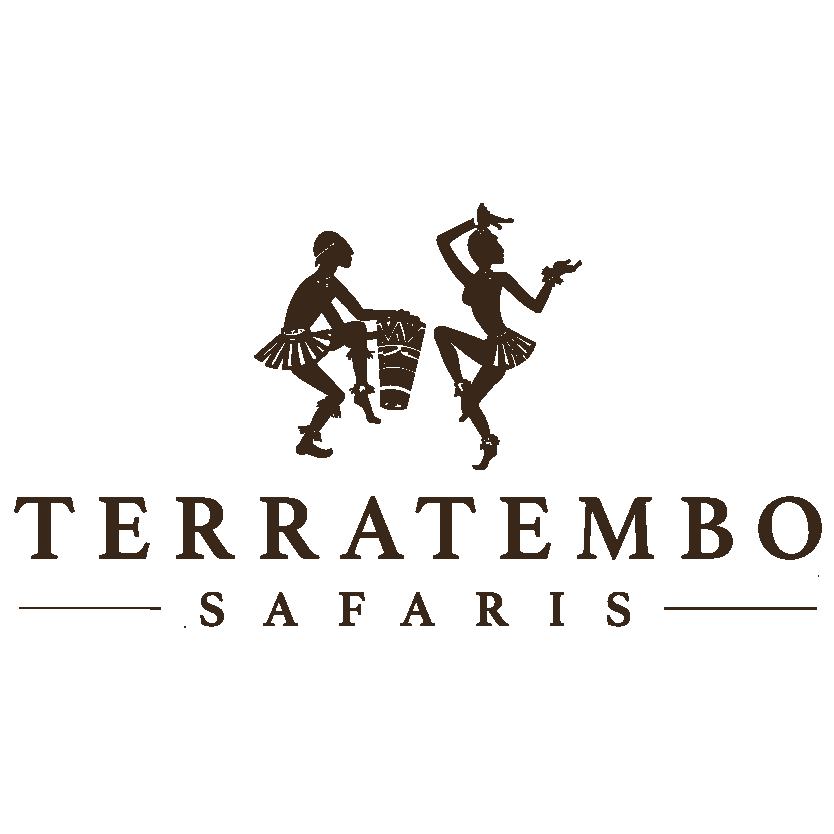 2 TERRATEMBO SAFARIS Logo & Website-01