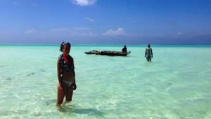 Zanzibar-300x169