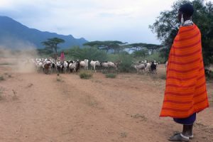 tanzania4-300x200
